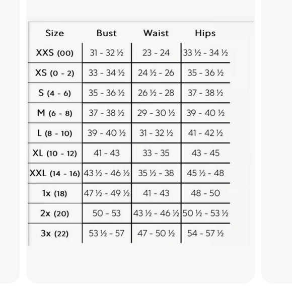 Show Me Your Mumu Emily Empire Maxi Dress Dove Grey Chiffon Size 1X - Picture 5 of 5